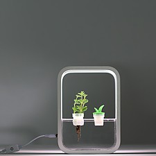 Giardino indoor con luce di coltivazione a LED