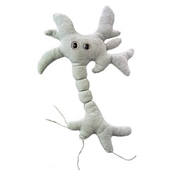 Giocattolo di peluche Microbe Small Neuron