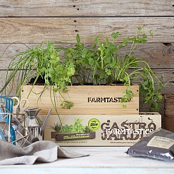 FARMTASTICO Kit per la coltivazione biologica di erbe aromatiche mediterranee.