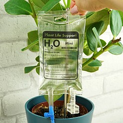 Mini supporto vitale per piante: il più originale sistema di auto-irrigazione per vasi da fiori