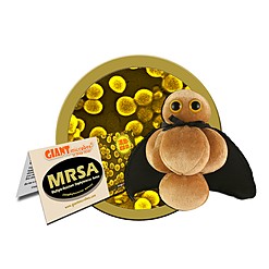Peluche del microbo MRSA