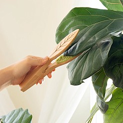 Pinzette per pulire le foglie delle piante