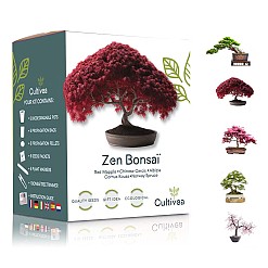 Kit completo per la coltivazione dei bonsai