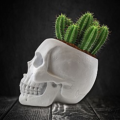 Vaso a forma di teschio per la coltivazione di cactus