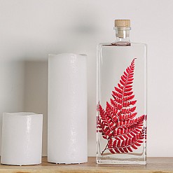 Pianta conservata in bottiglia da 26 cm