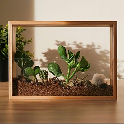 Kit per creare un mini giardino in una cornice di legno