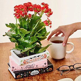 Vaso per libri impilati Trilogia botanica