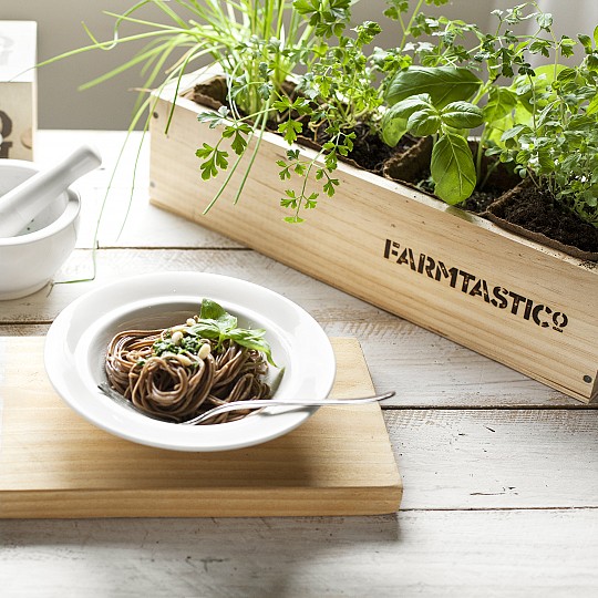 Insaporite i vostri piatti con le piante aromatiche del vostro giardino.
