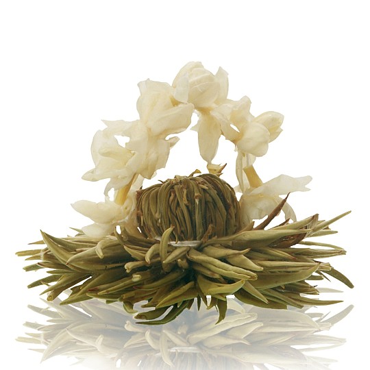 Tè bianco con fiori di gelsomino