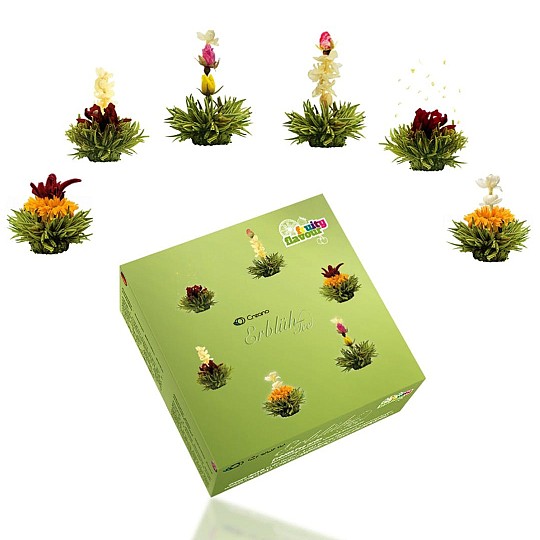 Scatola con 6 varietà di fiori di tè verde