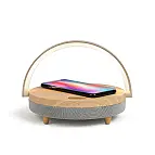 Caricabatterie con tecnologia QI