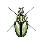 Istruzioni di montaggio incluse 