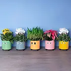 Disponibile in 5 colori