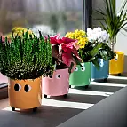 Mini vaso da fiori con occhi