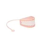 Lavabile in lavastoviglie e in microonde