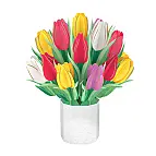Tulipani