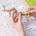 Per ragazzi dai 14 anni in su e adulti