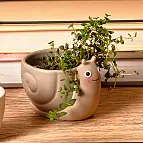 Mini vaso a forma di lumaca