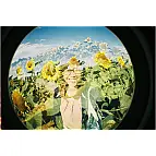 Utilizza pellicole di formato 35 mm