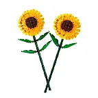Costruire due girasoli eterni