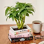 Realizzato in ceramica di alta qualità