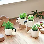 Mini vaso Monokuro con kit di coltivazione a forma di animaletto
