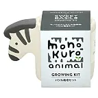 Zebra con semi di basilico dolce