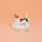Gattino calico