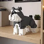 Elementi costitutivi per creare un cucciolo di mini Schnauzer