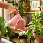 Ceramica di alta qualità con finitura lucida