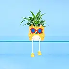 Vaso da fiori originale Cool Cat