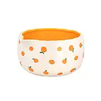 Ciotola chawan