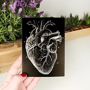 Biglietto di auguri con cuore anatomico