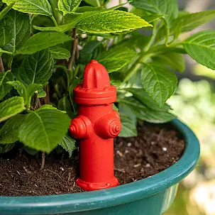 Auto-irrigazione sotto forma di idrante 