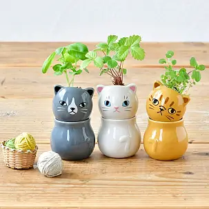 Mini fioriera auto-irrigante Corocoro a forma di gattino