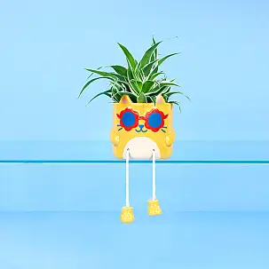 Vaso da fiori originale Cool Cat