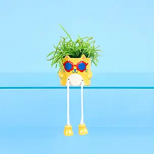Mini fioriera Cool Cat