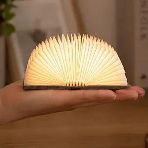 Mini lampada a forma di libro che si illumina quando viene aperta