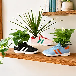 Walking Plant: vaso per piante originale a forma di sneaker