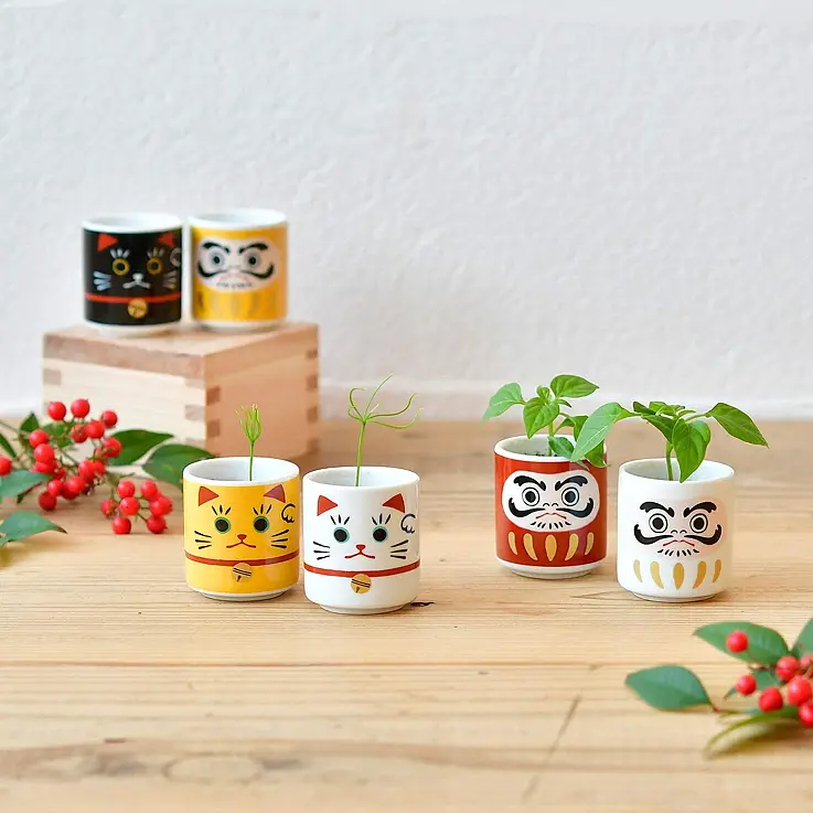 Un regalo ideale per gli appassionati di piante