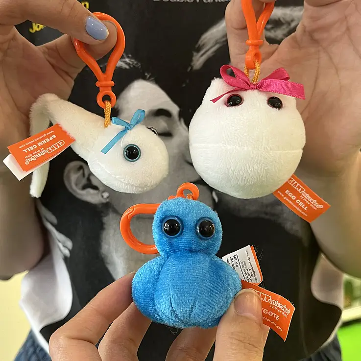 Possono servire come strumento di apprendimento