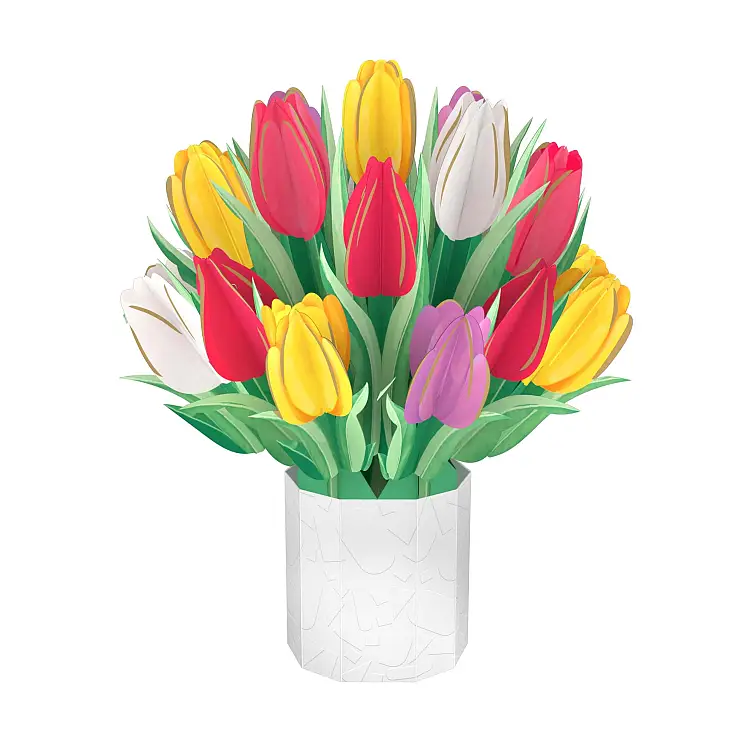 Tulipani