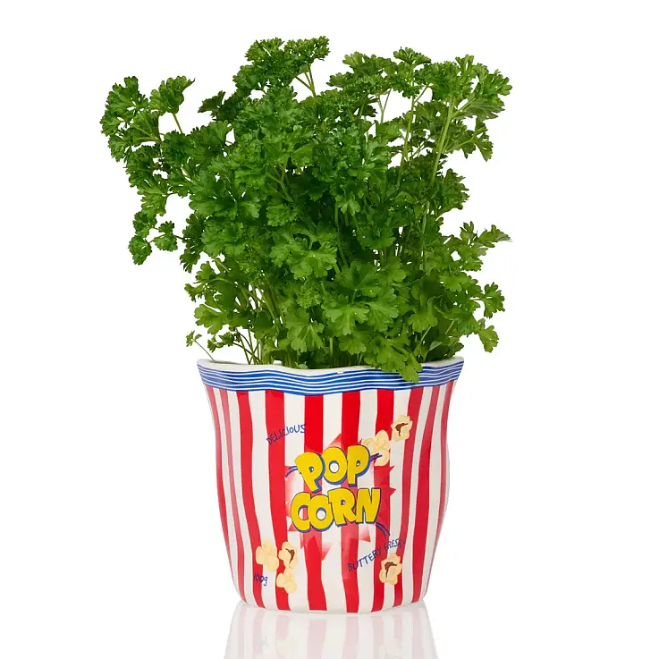 Ogni modello ha una dimensione