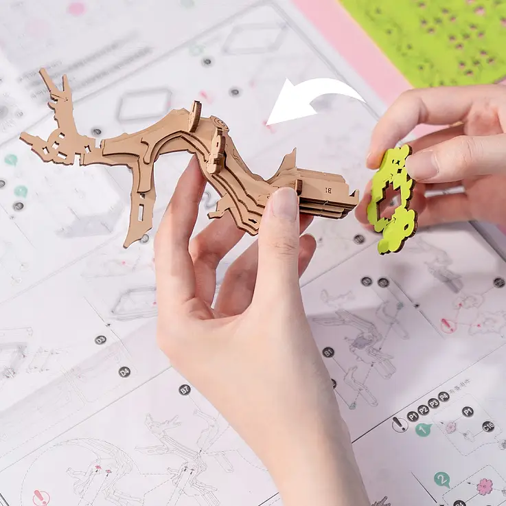 Per ragazzi dai 14 anni in su e adulti