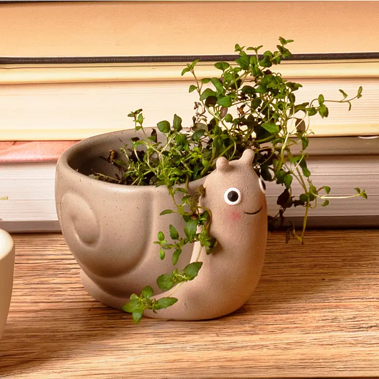 Mini vaso a forma di lumaca