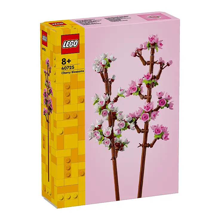 Regalo originale per le occasioni speciali