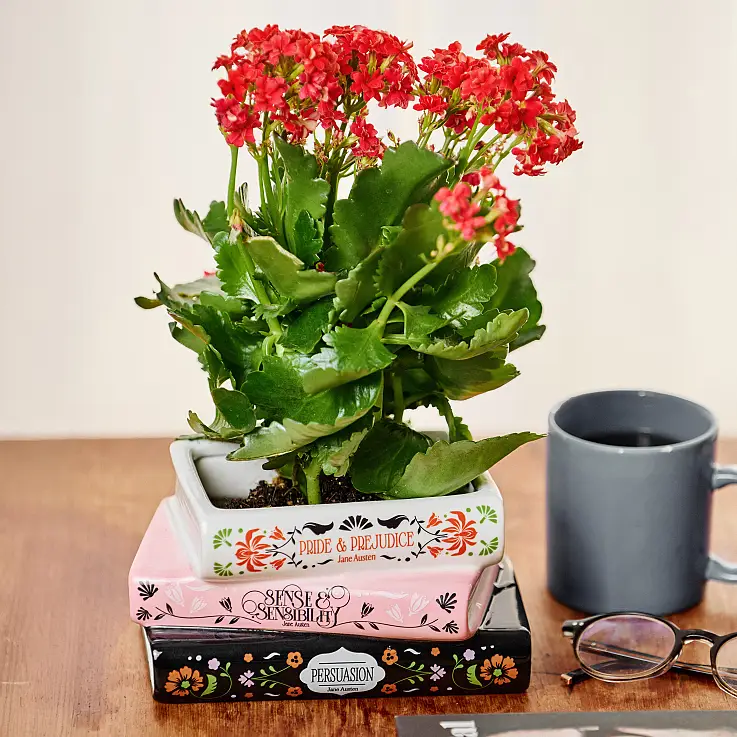 Vaso per libri impilato Trilogia botanica