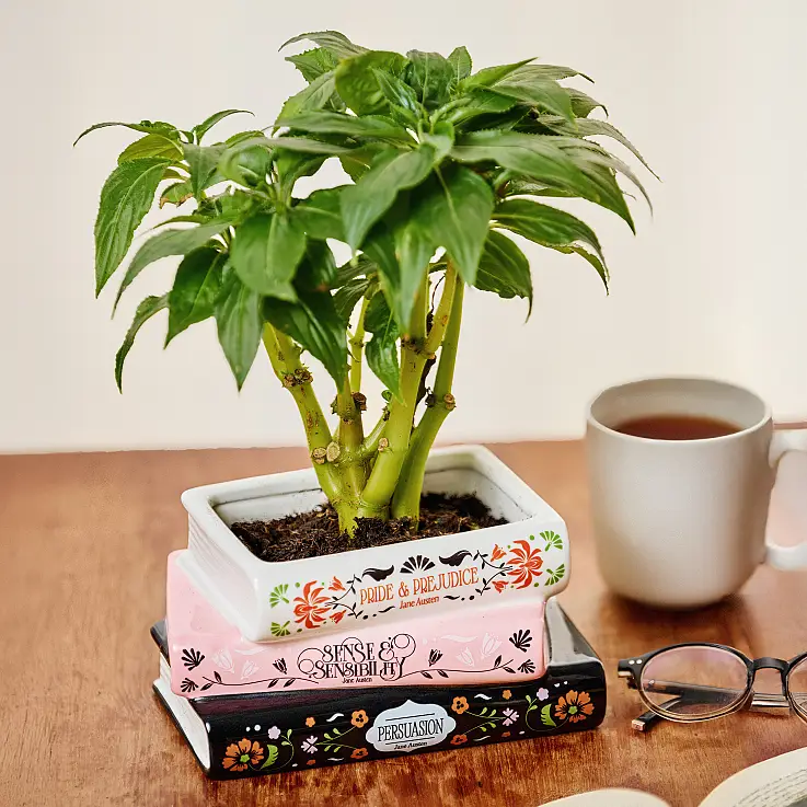 Realizzato in ceramica di alta qualità