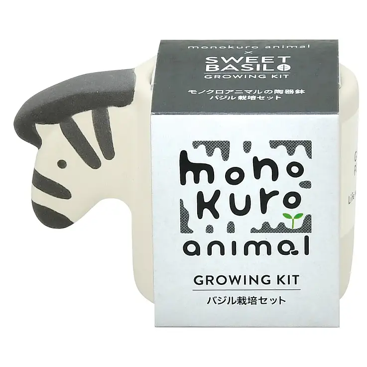 Zebra con semi di basilico dolce