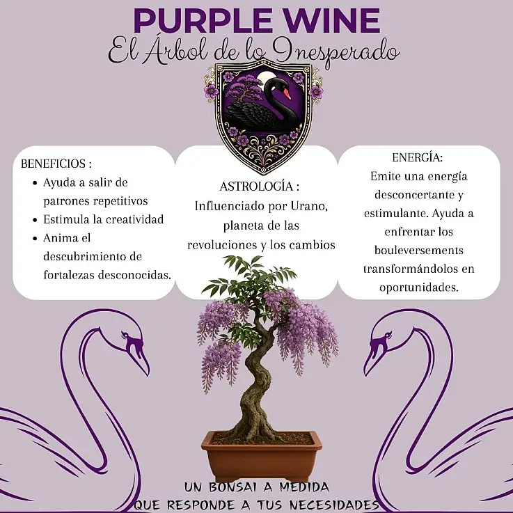 Vino viola